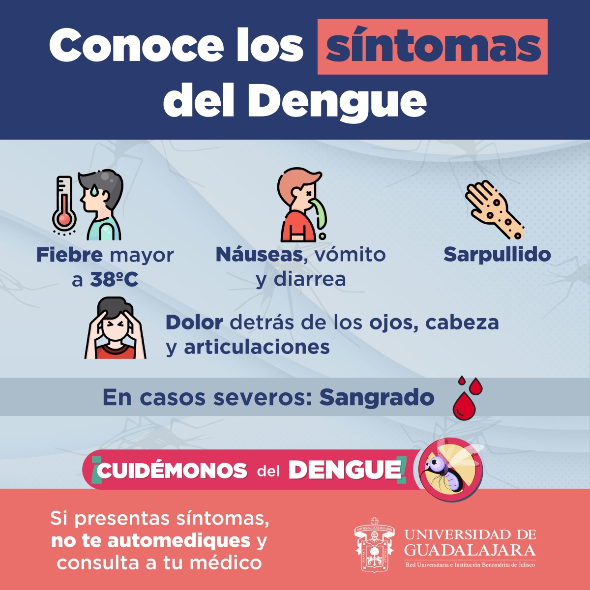 dengue2022-graficos_3.jpg 