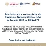 banners-red-beca-conacyt-resultados-apoyo-madres-de-familia-2022_600x1000_0.actividades.jpg